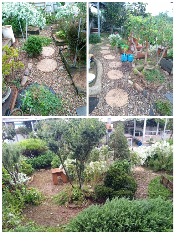 풀 뽑기 후 산책길 모습.