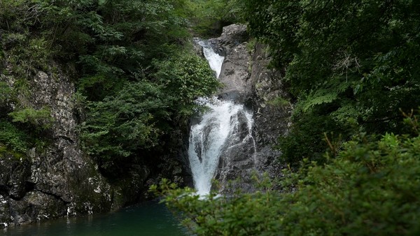 담양 가마골생태공원 용추산 계곡