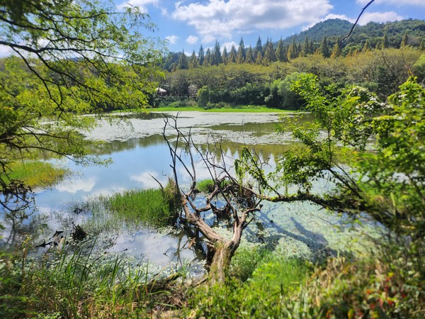 광주패밀리랜드 주변 대야제.