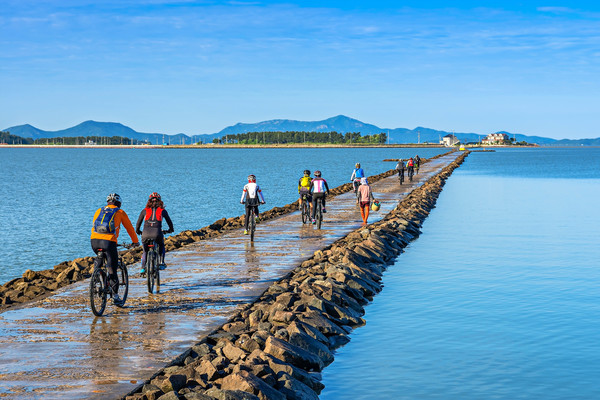 전남 관광지 신안 화도가는 길. 전남도 제공