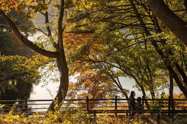 구례 천은사 상생의 길. 전남도 제공