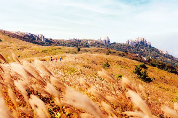 장흥 천관산. 전남도 제공