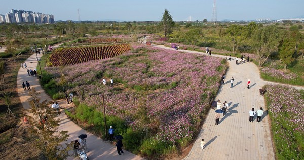 나주 영산강정원. 전남도 제공