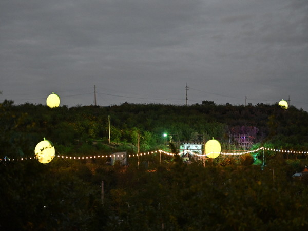 고흥유자축제 야간경관