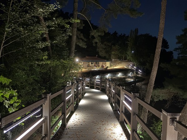 호가정 야경 산책로