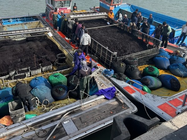 진도군 고군면위판장