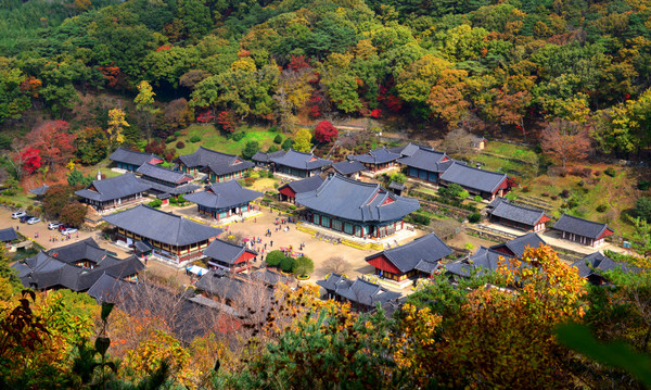 순천 송광사. 전남도 제공