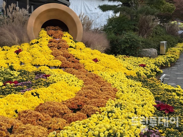 옹관에서 국화를 토해내고 있다.
