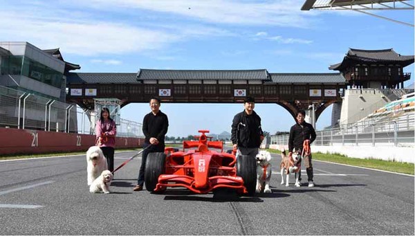  '댕댕이 F1트랙 운동회' 가 오는 15일 영암 국제자동차경주장에서 열린다.'  ㈜코리아모빌리티그룹 제공