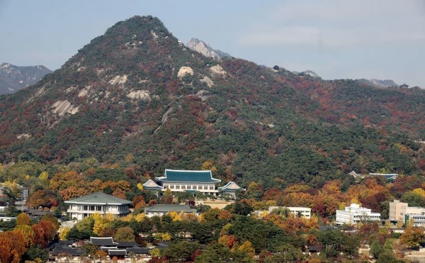 대통령실이 다음 달 14일 전후 서울 용산에 있는 대통령 집무실 등을 청와대로 이전할 것으로 전해진 가운데 11일 서울 종로구에서 바라본 청와대 모습이 농익은 가을 풍경을 보이고 있다. 뉴시스