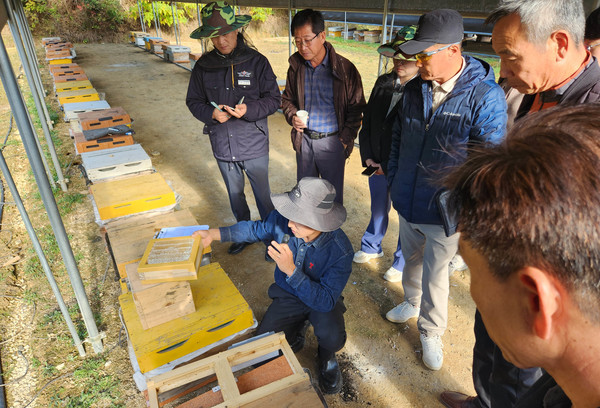 지난 13일, 고흥군 점암면 비가림 양봉장에서 전라남도농업기술원이 양봉 경영성과 연시회를 열었다. 사진=전라남도농업기술원 제공.