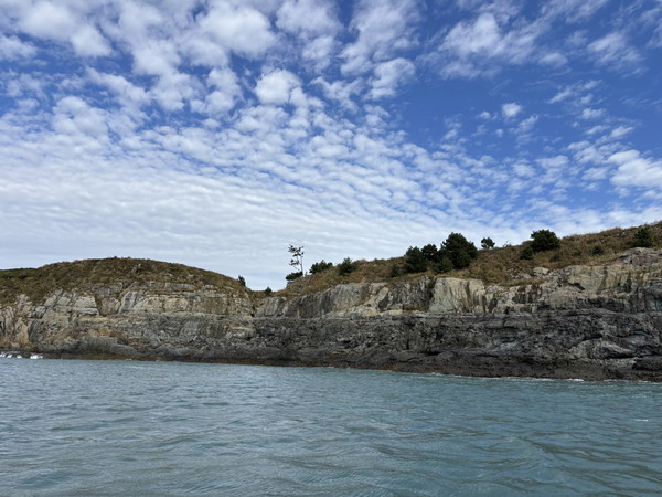 고흥군이 관내 특정도서 6개 섬을 대상으로 생태계 보호와 체계적인 관리를 위한 정기순찰을 실시했다