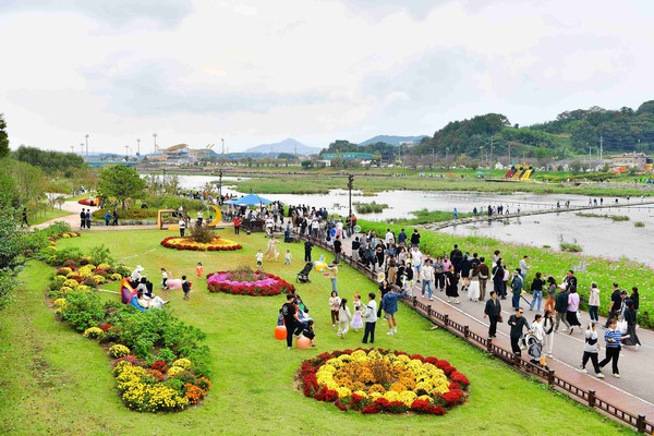 황룡강 가을꽃축제 