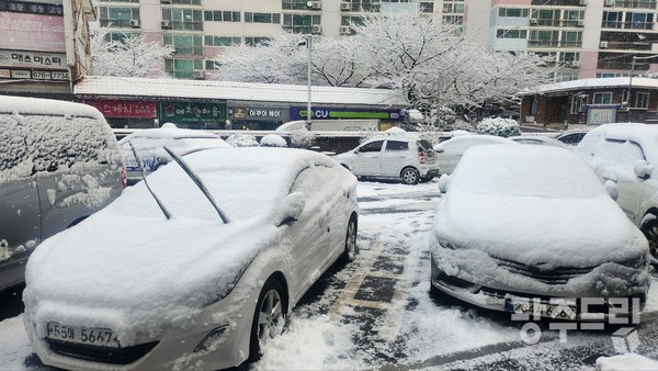 올 1월, 남구 진월동 차량 위에 습설이 쌓여 있다. 