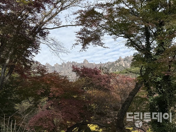 정선대에서 본 옥판봉의 가을.