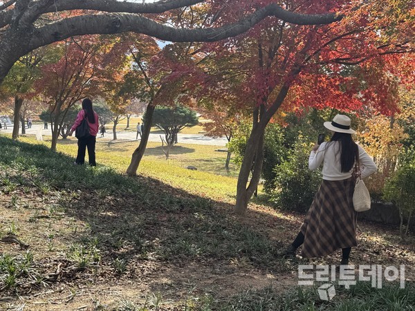 왕인박사유적지의 가을.