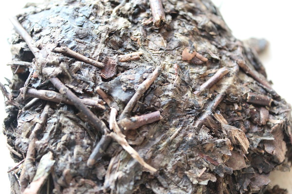 흑차의 한 종류인 장차(藏茶)의 속 모습. 가지와 줄기가 그대로 보인다. 이처럼 흑차는 낮은 등급의 찻잎으로 만들었고, 필연적으로 고삽미가 강할 수밖에 없었다. 이런 단점은 줄기와 가지의 성분이 오랜 시간이 흘러 주수현상으로 대표되는 단맛으로 변하지만, 정작 유목민족들은 수시로 이동해야 하는 특성상 제품을 오래 보관하기 힘들어 그 맛의 변화를 보기 힘들었다. 