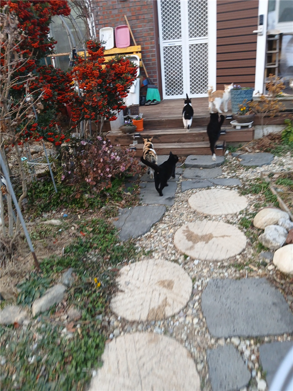 귀를 기울이면 - 뉴스 썸네일 이미지