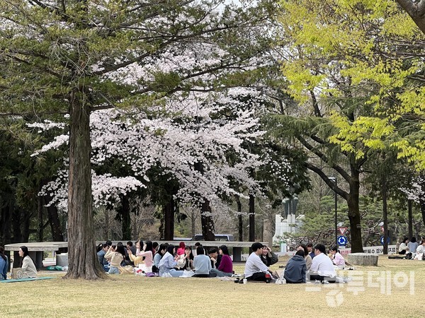 학령인구 감소 속 광주 사립대 등록률 '선방' - 뉴스 썸네일 이미지