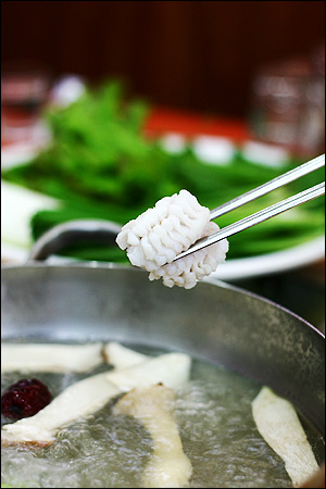 [맛있는집]입에서 살살녹는 갯장어(하모)